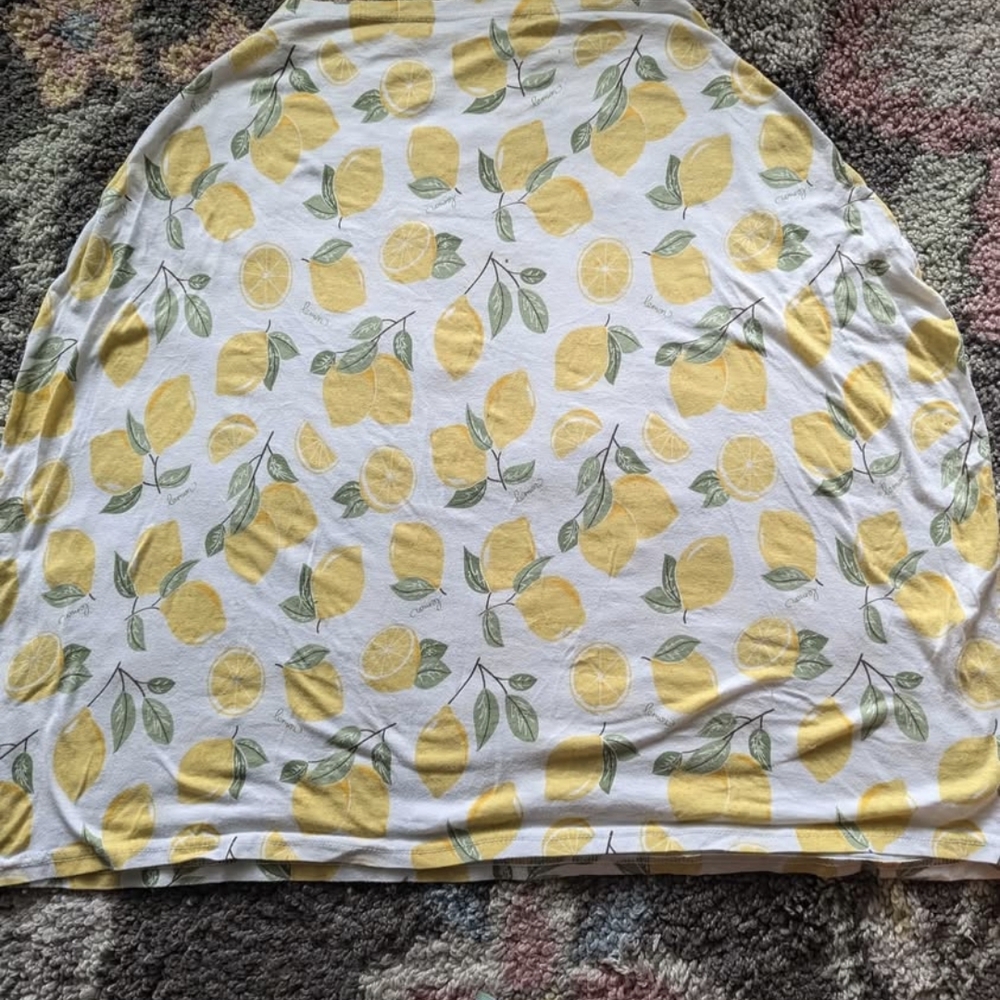 Car Seat/Nursing Cover